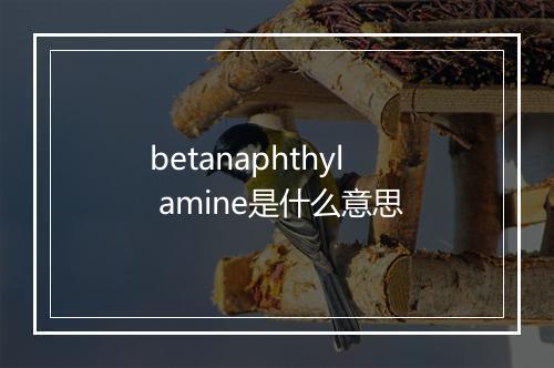 betanaphthyl amine是什么意思