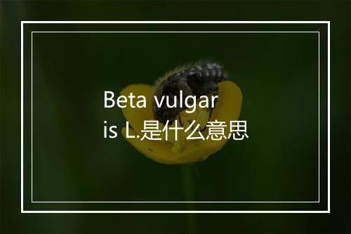 Beta vulgaris L.是什么意思