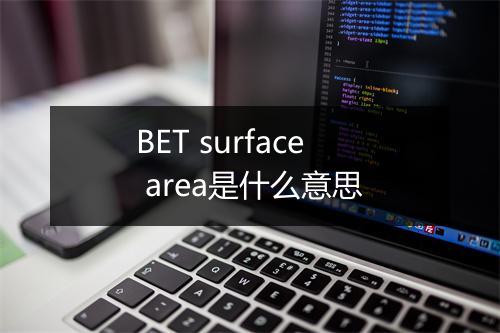 BET surface area是什么意思