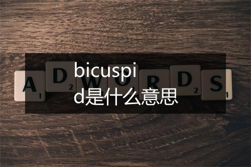 bicuspid是什么意思