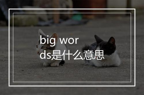 big words是什么意思