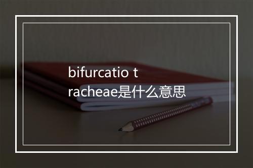 bifurcatio tracheae是什么意思