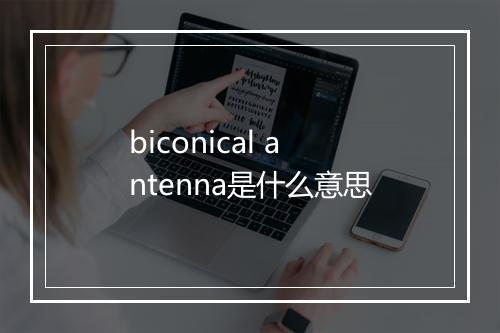 biconical antenna是什么意思