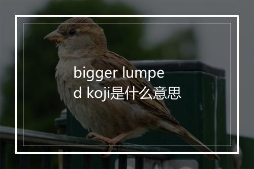 bigger lumped koji是什么意思