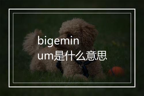 bigeminum是什么意思