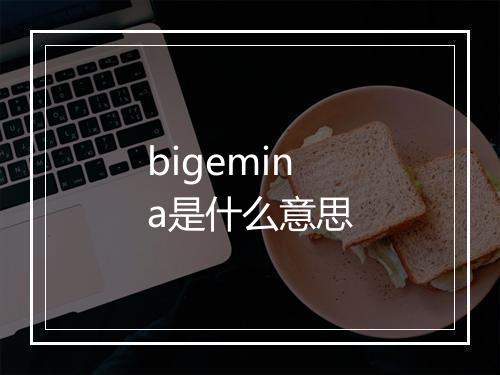 bigemina是什么意思