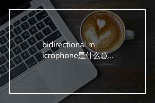 bidirectional microphone是什么意思