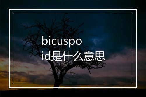 bicuspoid是什么意思