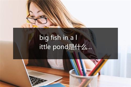 big fish in a little pond是什么意思