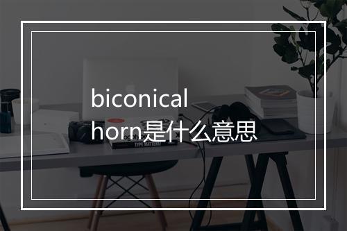 biconical horn是什么意思