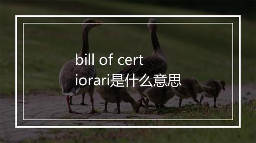 bill of certiorari是什么意思