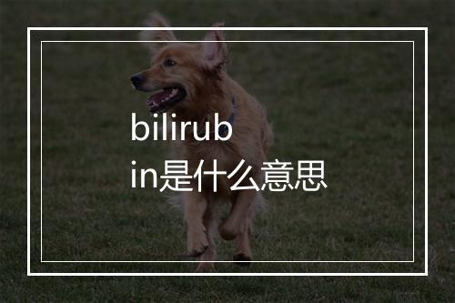 bilirubin是什么意思