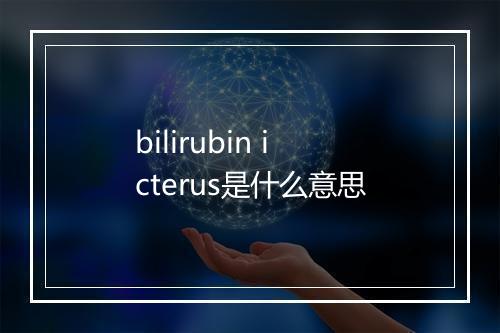 bilirubin icterus是什么意思