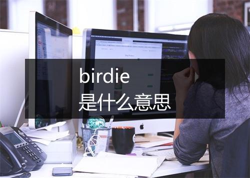 birdie是什么意思