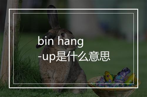 bin hang-up是什么意思