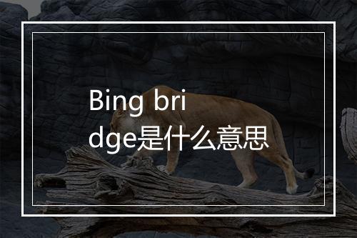 Bing bridge是什么意思