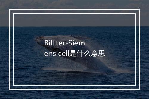 Billiter-Siemens cell是什么意思