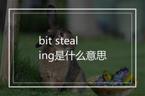 bit stealing是什么意思