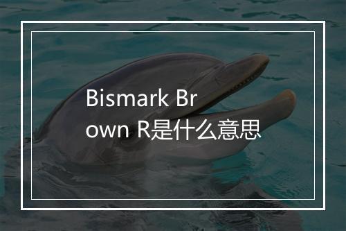 Bismark Brown R是什么意思