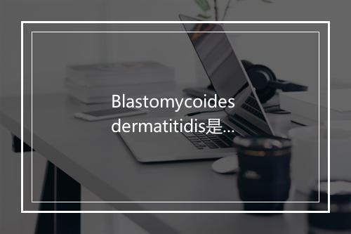 Blastomycoides dermatitidis是什么意思