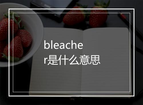 bleacher是什么意思