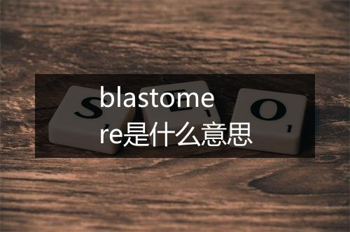 blastomere是什么意思