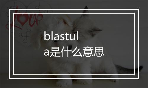 blastula是什么意思