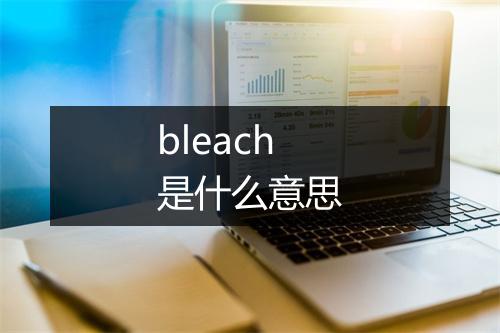 bleach是什么意思