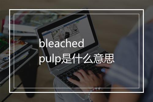 bleached pulp是什么意思