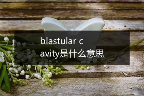 blastular cavity是什么意思