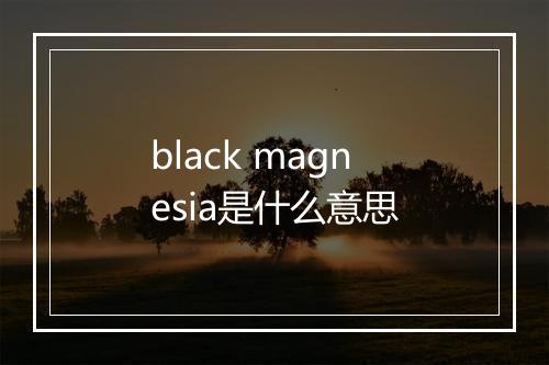 black magnesia是什么意思