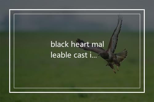 black heart malleable cast iron是什么意思