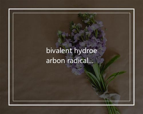 bivalent hydroearbon radical是什么意思