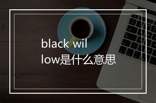 black willow是什么意思