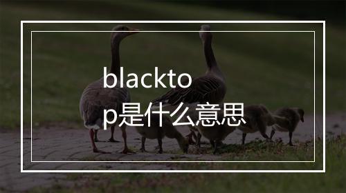 blacktop是什么意思