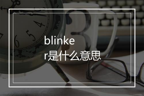 blinker是什么意思