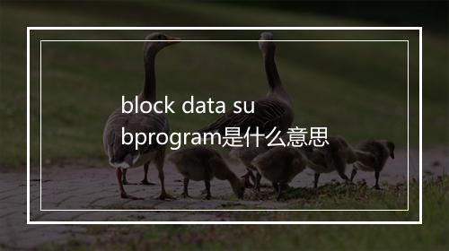 block data subprogram是什么意思