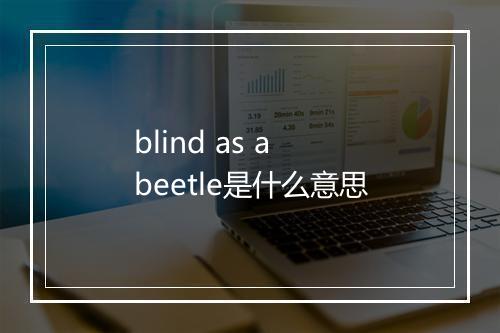 blind as a beetle是什么意思