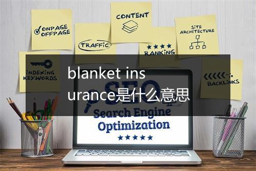 blanket insurance是什么意思