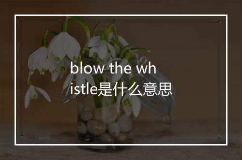 blow the whistle是什么意思