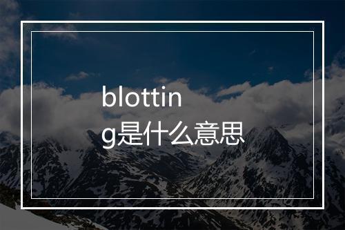 blotting是什么意思