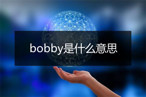 bobby是什么意思