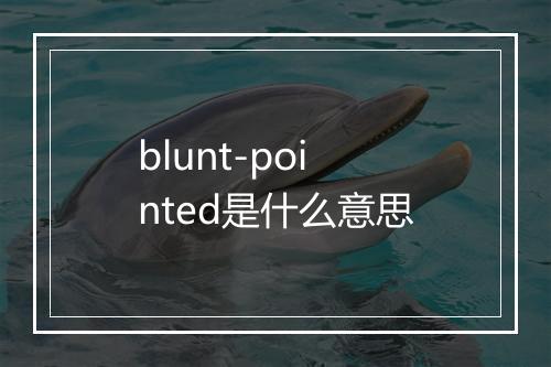 blunt-pointed是什么意思