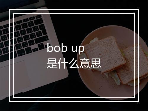 bob up是什么意思