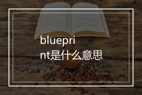 blueprint是什么意思