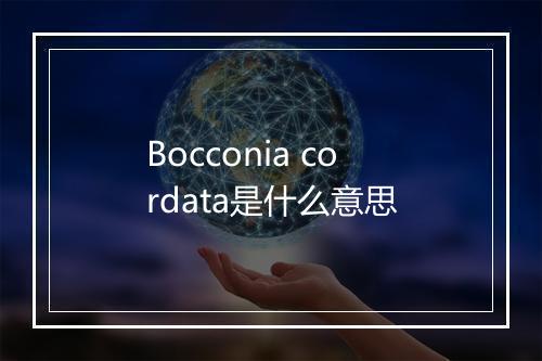 Bocconia cordata是什么意思