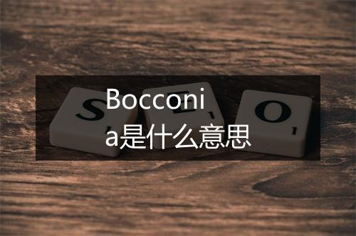 Bocconia是什么意思