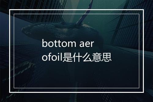 bottom aerofoil是什么意思