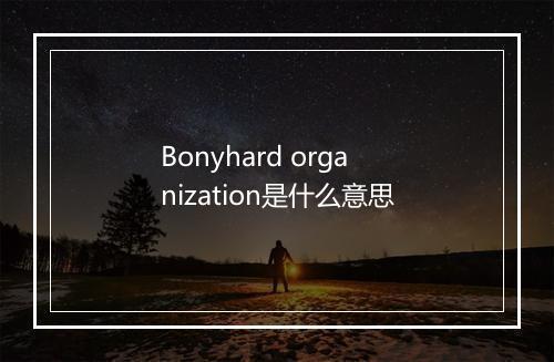 Bonyhard organization是什么意思