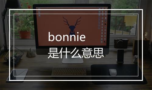 bonnie是什么意思